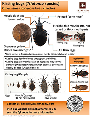 Kissing bug identification sheet pdf thumbnail